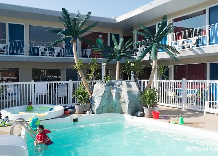 Dog friendly hotels Sandbox