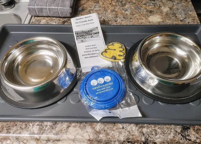 Dog friendly hotels Sandbox